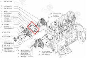 фото Прокладка насоса водяного (помпы) ГАЗель 3302,Next,Соболь NN А-274 EvoTech 2.7 ГАЗ