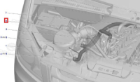 фото Шланг отопителя отводящий ГАЗель Next ГАЗ